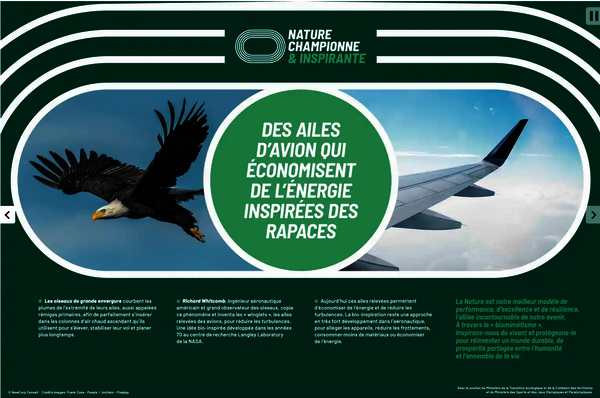 Photo issue de l'exposition "La nature championne & inspirante" 